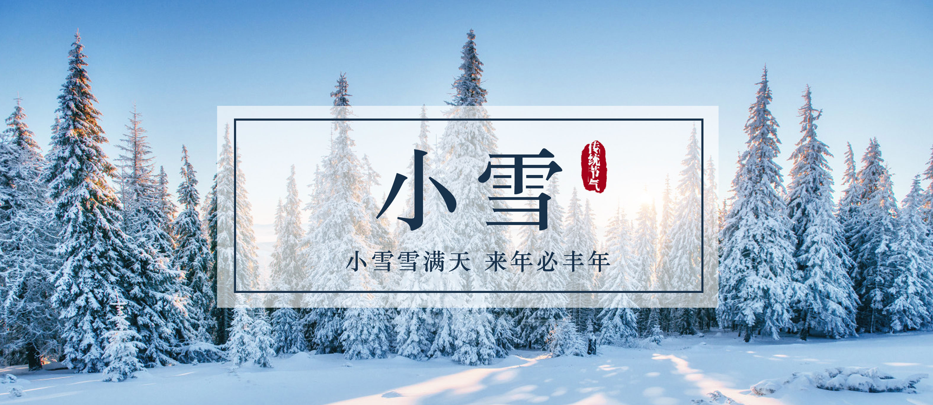 今日小雪 I 小雪雪滿天 來年必豐年